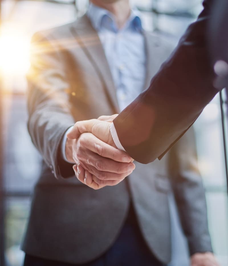 Two people shaking hands